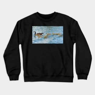 Canada Goose Family Going For a Swim Crewneck Sweatshirt